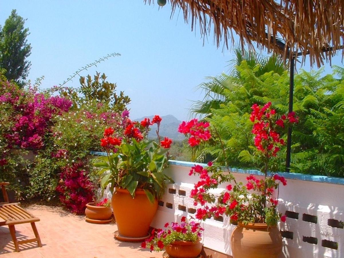Soler By Sealand Alcudia (Mallorca)